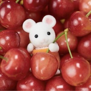 Meet your Posher, nova